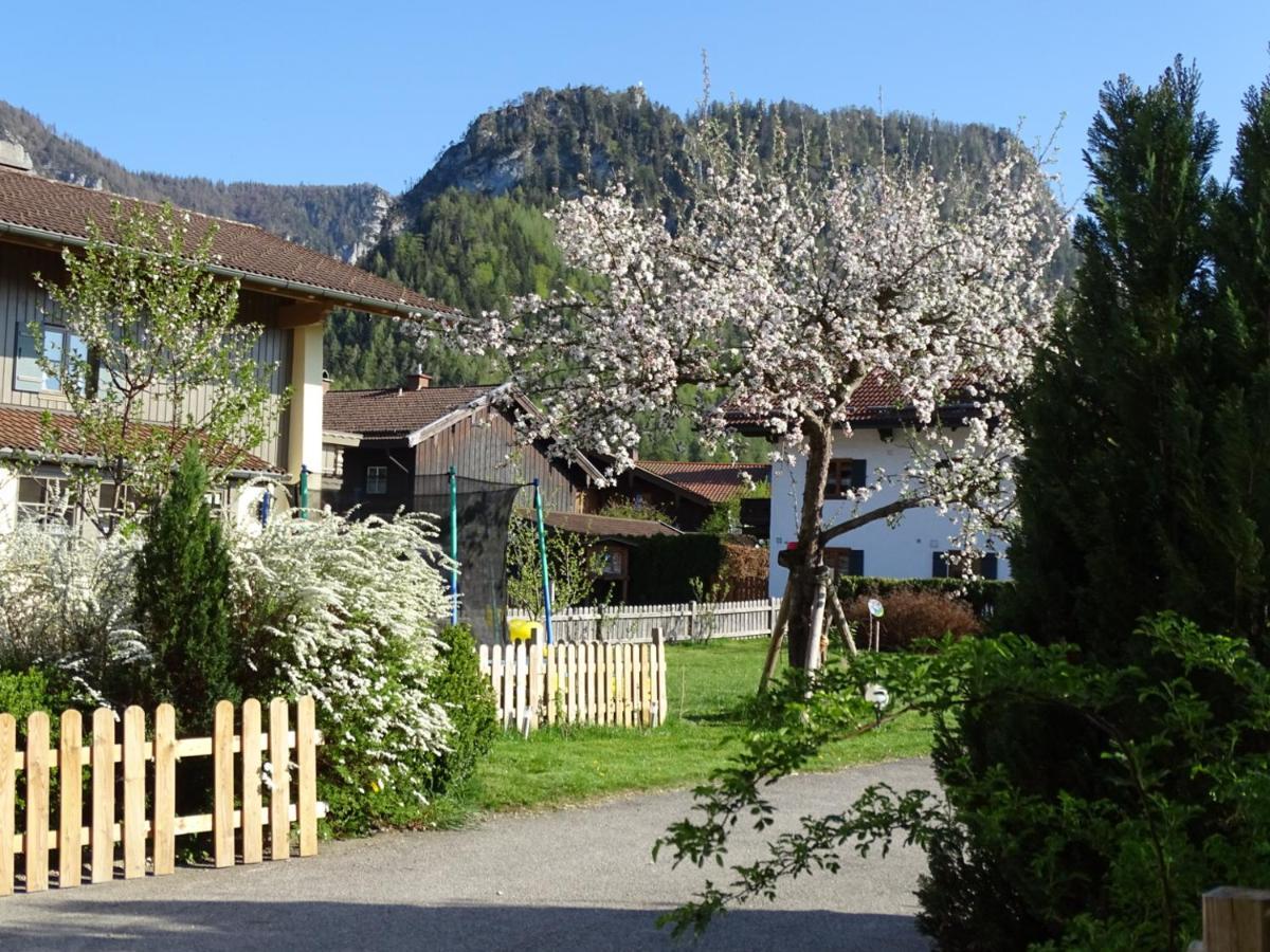 Ferienwohnung Anna อินเซลล์ ภายนอก รูปภาพ